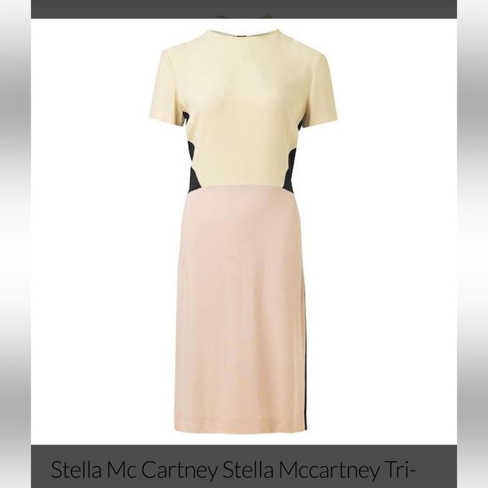 🔥 Stella McCartney Colorblock Dress US 8